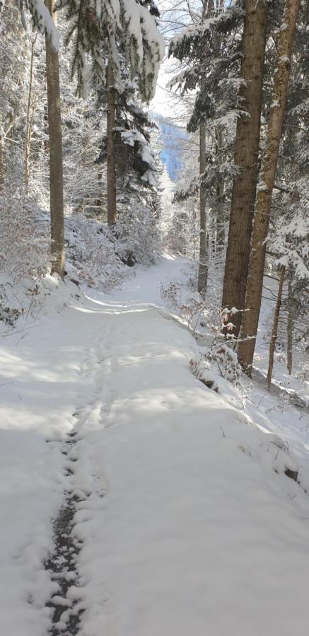 Apartment Sonnenbuechel Wald am Arlberg Esterno foto